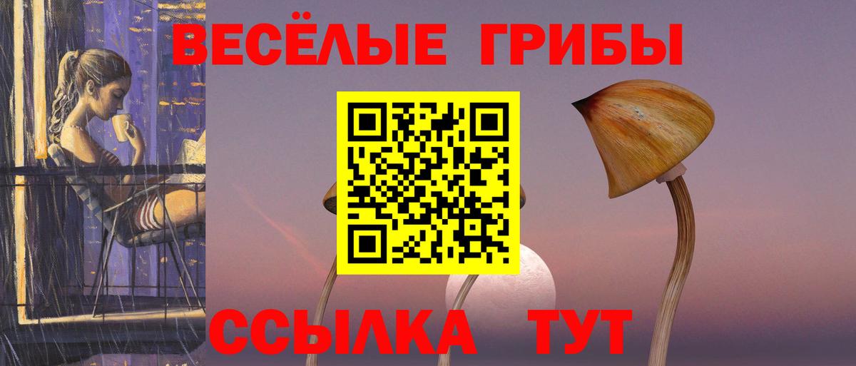 Галлюциногенные грибы прущие грибы Кимры